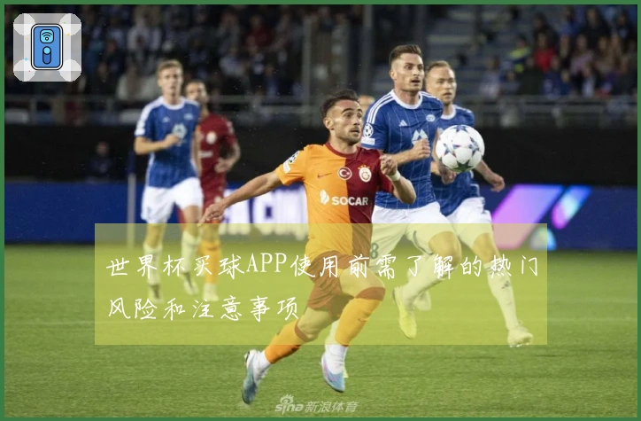 世界杯买球APP使用前需了解的热门风险和注意事项
