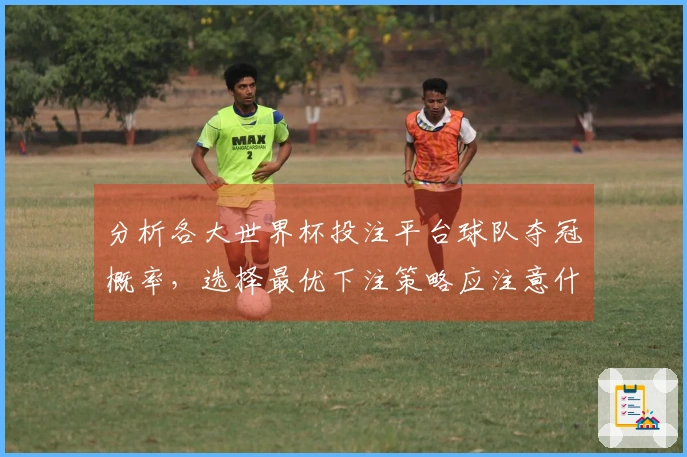 分析各大世界杯投注平台球队夺冠概率,选择最优下注策略应注意什么