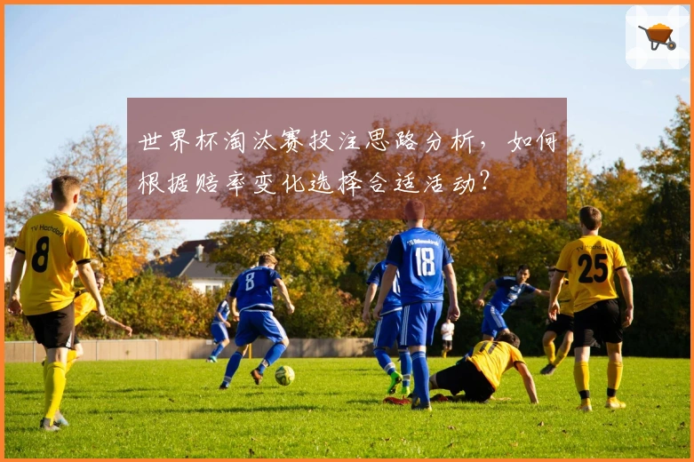 世界杯淘汰赛投注思路分析，如何根据赔率变化选择合适活动？